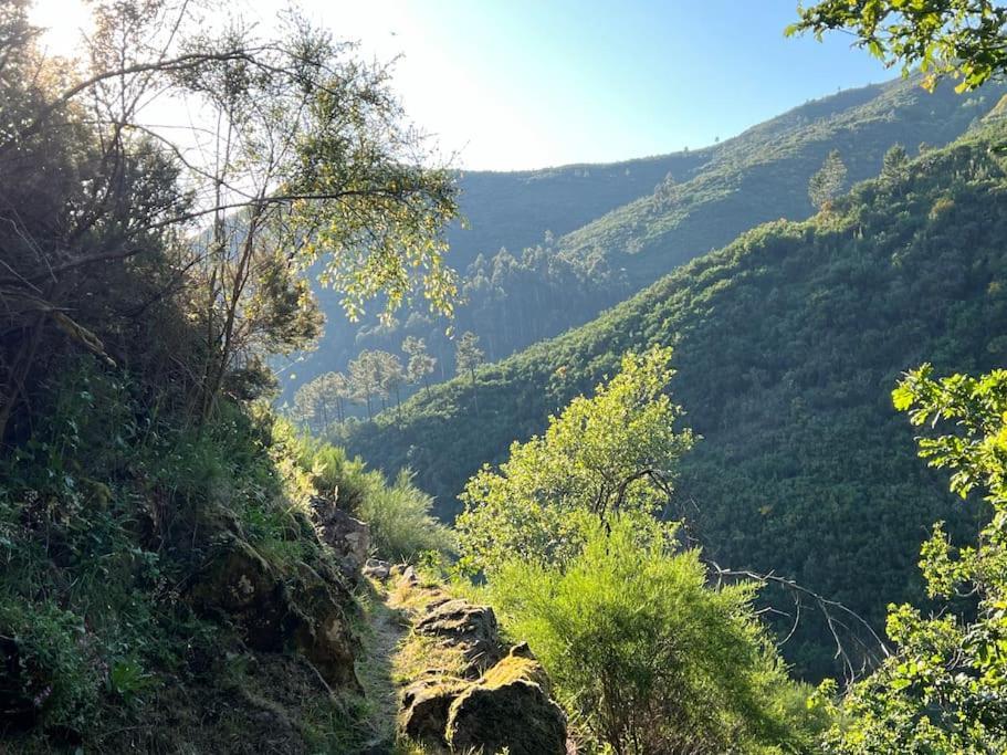 Casa Do Sol - Natureza & Lazer - Serra Da Freita Arouca Eksteriør billede
