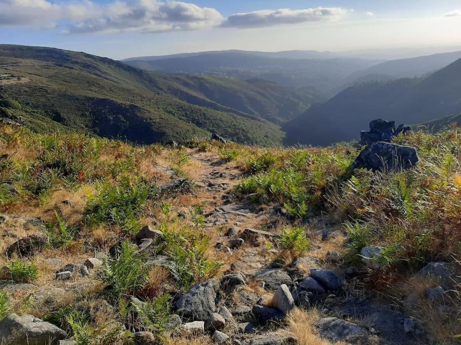 Casa Do Sol - Natureza & Lazer - Serra Da Freita Arouca Eksteriør billede