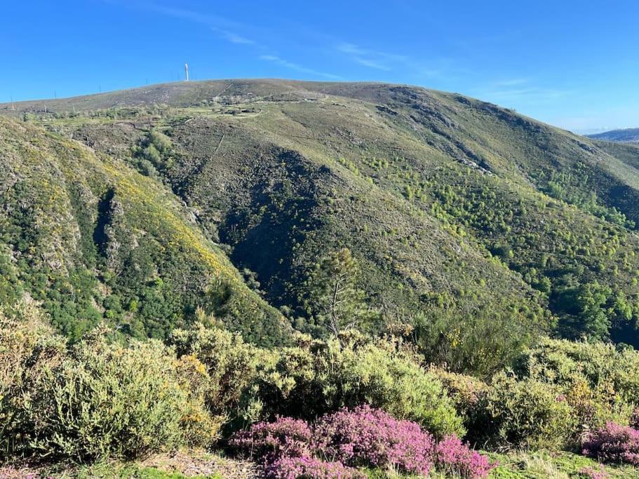 Casa Do Sol - Natureza & Lazer - Serra Da Freita Arouca Eksteriør billede